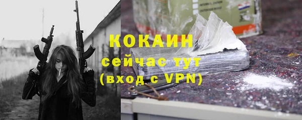 дмт Абаза