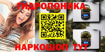 крисы Боровичи