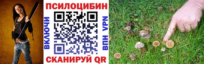 Псилоцибиновые грибы GOLDEN TEACHER  купить  цена  Одинцово 